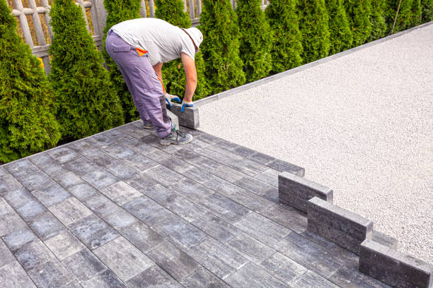 Best Best Driveway Pavers  in Montrose, CO