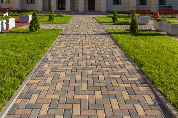 Best Driveway Pavers Near Me  in Montrose, CO